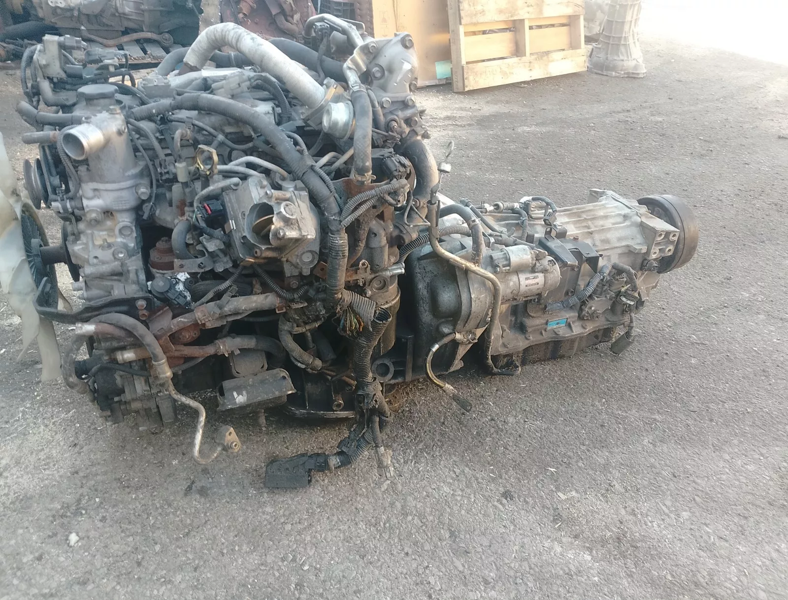 Isuzu 4JJ1-TCX Engine For Sale
